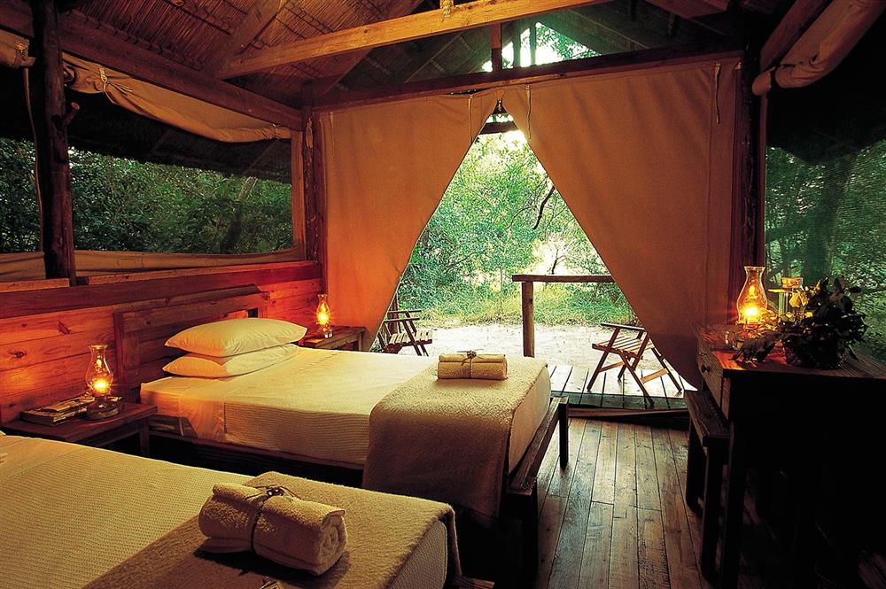 Kosi Forest Lodge